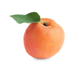Delicious fresh ripe apricot isolated on white