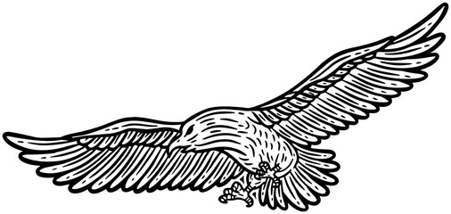 Eagle Bird Hand Drawn illustration