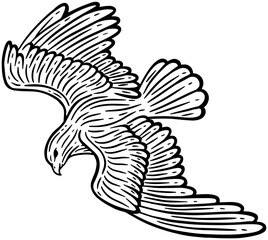 Eagle Bird Hand Drawn illustration