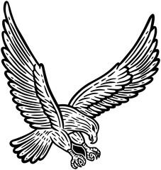 Fototapeta premium Eagle Bird Hand Drawn illustration