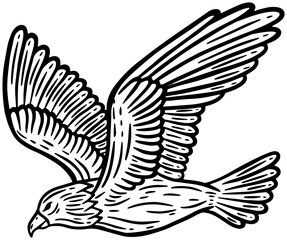 Obraz premium Eagle Bird Hand Drawn illustration