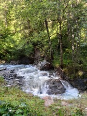 Fototapeta premium waterfall in the forest