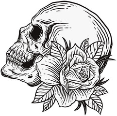 Skull Rose Dark illustration Beast Skull Bones Head Hand drawn Hatching
