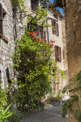 Obraz na płótnie Canvas France European Italy Village Stonework Vines Summer 
