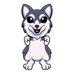 Cute siberian husky dog cartoon