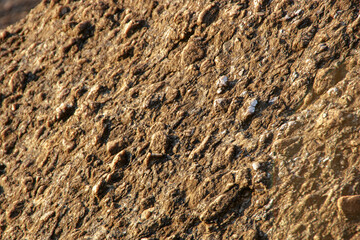 details of a rock with sand at sunrise in Rio de Janeiro, Brazil.