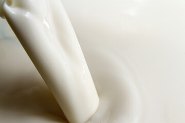 Milk is the liquid produced by the mammary glands of mammals, including humans