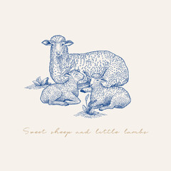Vintage card with a cute sheep and little lambs. Vector illustration.  - 525725049