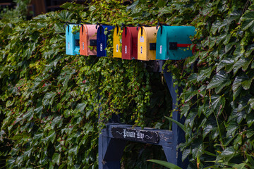 Colorful Mailboxes In Long Row With Ivy Background Reminder of Rainbow Colors