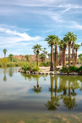 Obraz na płótnie Canvas Palm trees water reflection oasis and mountains in the desert at Papago Park in Phoenix Arizona