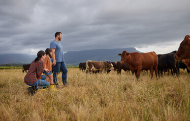 Agriculture, countryside family with cows on a farm or grass field with storm clouds in background....