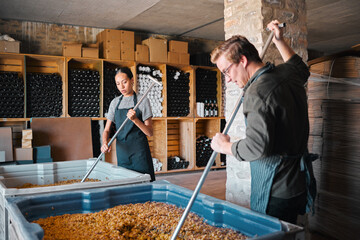 Wine, vineyard and workers mixing fruit in a winery, warehouse or distillery with equipment at...