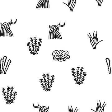 Aquatic Seaweed Natural Plant vector seamless pattern