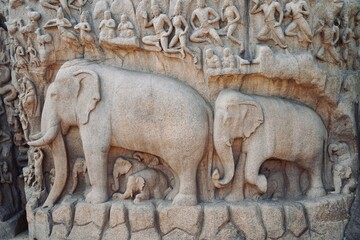 Bas relief rock cut sculptures of Elephant are carved in the monolithic granite rocks in Mahabalipuram, Tamil nadu. Ancient historical bas relief sculpture carved in the stone rock in Mahabalipuram.