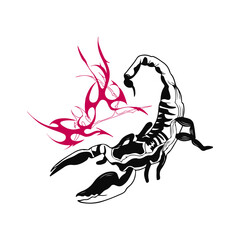 scorpion vector illustration with concept