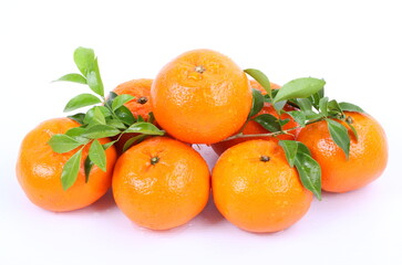 Oranges with water drops on a white background