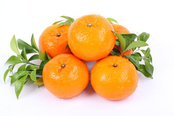 Oranges with water drops on a white background