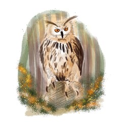 Owl in the forest