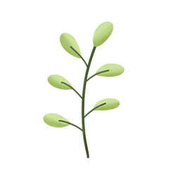 Leaves Branch Illustration