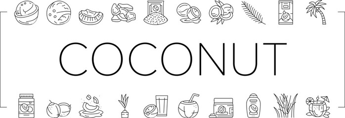 coconut coco fruit fresh white icons set vector