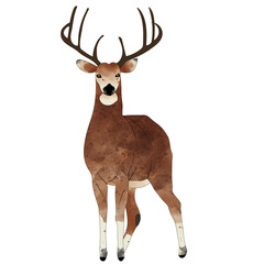 Hand drawn deer