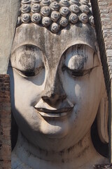 Budha head