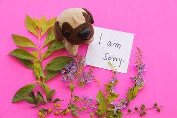 i am sorry message card handwriting with dog toy, purple flowers arrangement flat lay postcard...