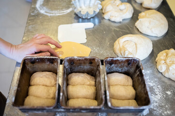 The process of making brioche in an artisan bakery. Laying the dough in the baking molds. Front view.