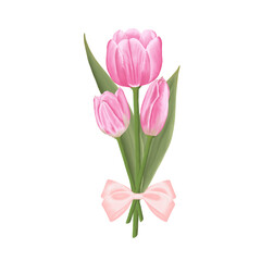 Pink flowers watercolor tulip illustration.