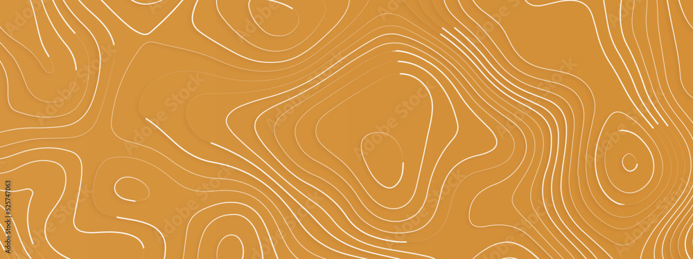 Poster topographic multicolored linear background for design, abstraction with place for text, topographic 