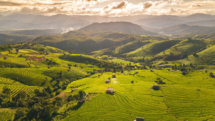 Aerial view of Rice terraces in Thailand