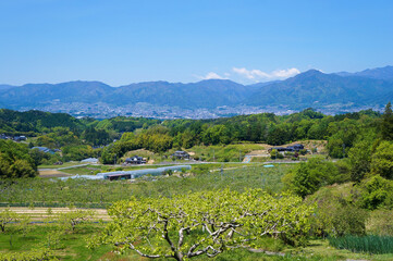 長野県 喬木村の風景