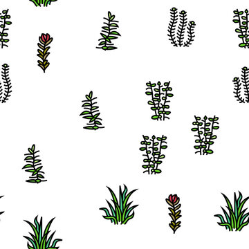 Aquatic Seaweed Natural Plant vector seamless pattern