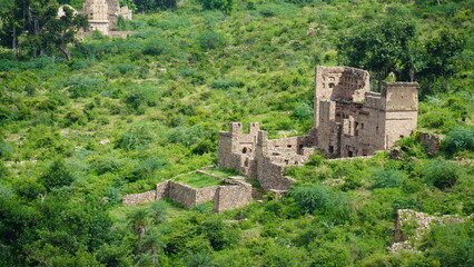 Fototapeta premium ancient stone of rajasthan image