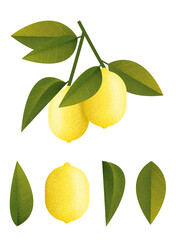 lemon with leaves , png , transparent background
