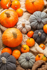 Cozy autumn still life with pumpkins, knitted woolen plaid and decor. Autumn home decor. Warming fall mood. Autumn holiday, weekend. Thanksgiving. Halloween. Banner, flyer, greeting card