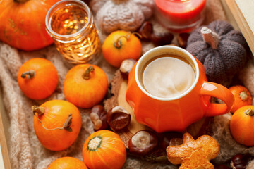 Mug of cocoa or hot chocolate with seasonal decoration, candle, pumpkins and warm blanket. Cozy home atmosphere in rainy autumn day. Нygge lifestyle concept, fall menu, flyer, greeting card