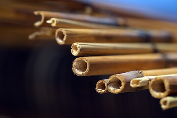 Nahaufnahme Strohdach