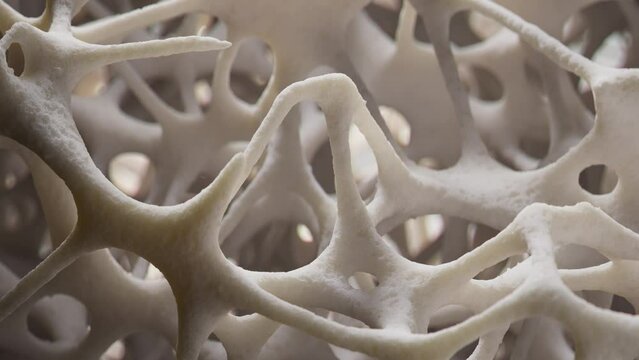 Closeup shot of spongy bone tissue growing, 3d animation.