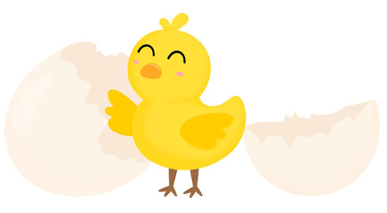 Lovely Baby Chicken, Cracking egg