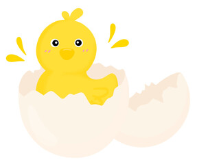 Egg Hatching, Chick baby