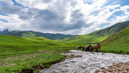 Horses at a watering hole in the mountains. Mountain river. Beautiful mountain gorge © Daniil_98_03_09