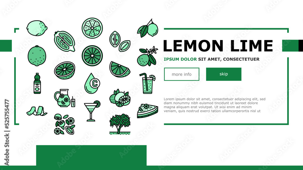 Poster lemon and lime vitamin citrus landing header vector