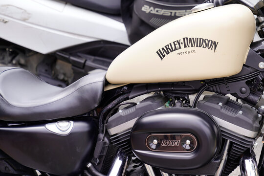 harley davidson logo brand on tank fuel white 883 1200 with text sign Motorcycle Sportster motorbike