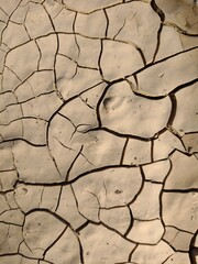 dry cracked earth