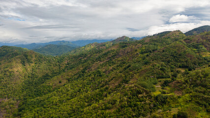 Fototapeta na wymiar Mountains with rainforest and jungle in the mountainous area of Sri Lanka.
