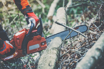Man holding a chainsaw and cut trees. Lumberjack at work wears orange personal protective...
