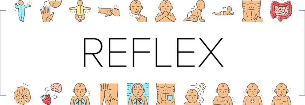 Reflex Of Human Neurology System Icons Set Vector