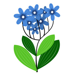 Blue flower and leaf