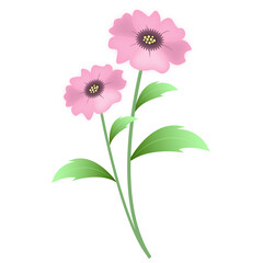 pink flower and leaf
